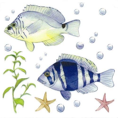 Dec/Transfers Blue/Yellow Fish