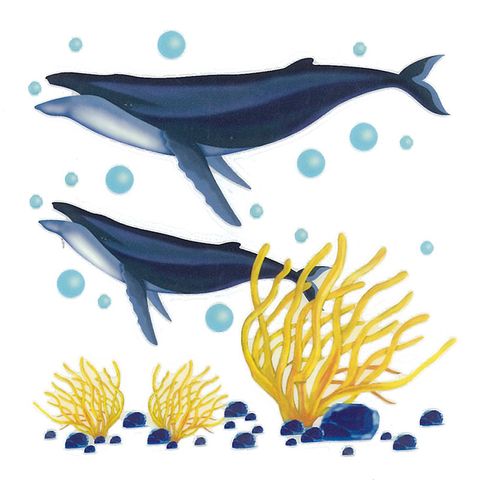 Dec/Transfers 2 Whales