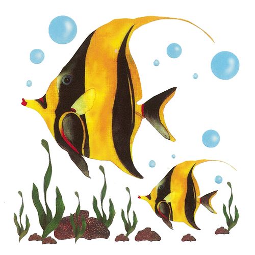 Dec/Transfers Yellow/Black Fish