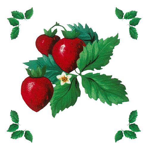 Dec/Transfers Fruit Pattern