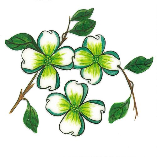 Dec/Transfers Green/White Flowers