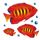 Dec/Transfers Orange Fish
