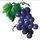 Dec/Transfers Grapes
