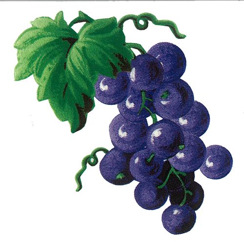 Dec/Transfers Grapes