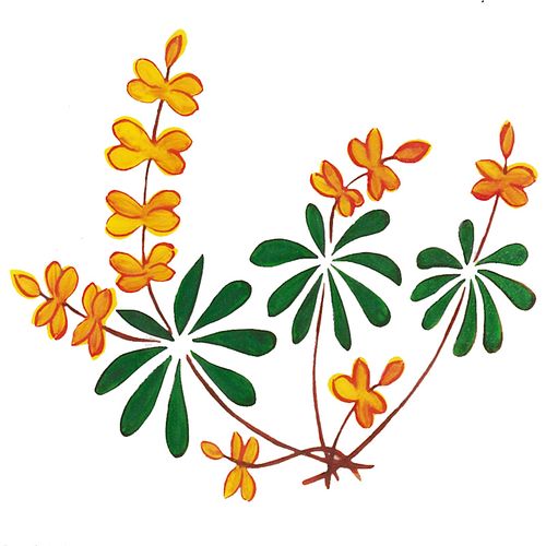 Dec/Transfers Yellow Floral