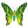 Dec/Transfers Green Butterfly
