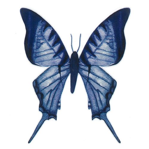 Dec/Transfers Blue Butterfly