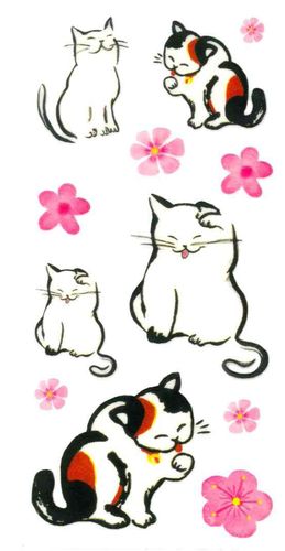 Dec/Transfers Small Cats