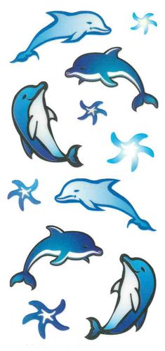 Dec/Transfers Small Dolphins