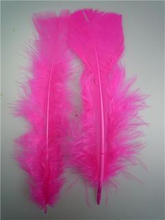 Feathers Magenta 10g