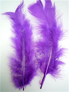 Feathers Purple 10g