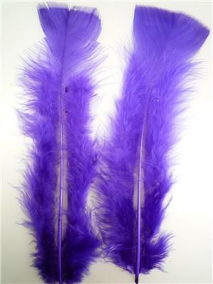Feathers Royal Blue 10g