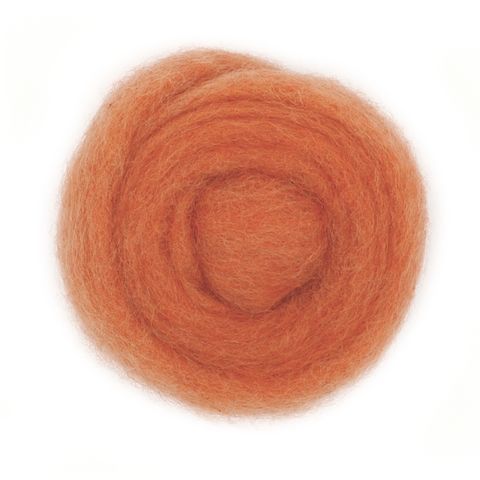 Combed Wool Salmon 10g