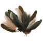 FEATHERS GOOSE SATIN NATURAL MIX 6G