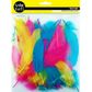 FEATHERS GOOSE SATIN BRIGHT MIX 6G