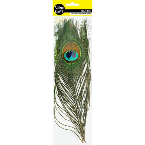 FEATHER PEACOCK EYES 2PC
