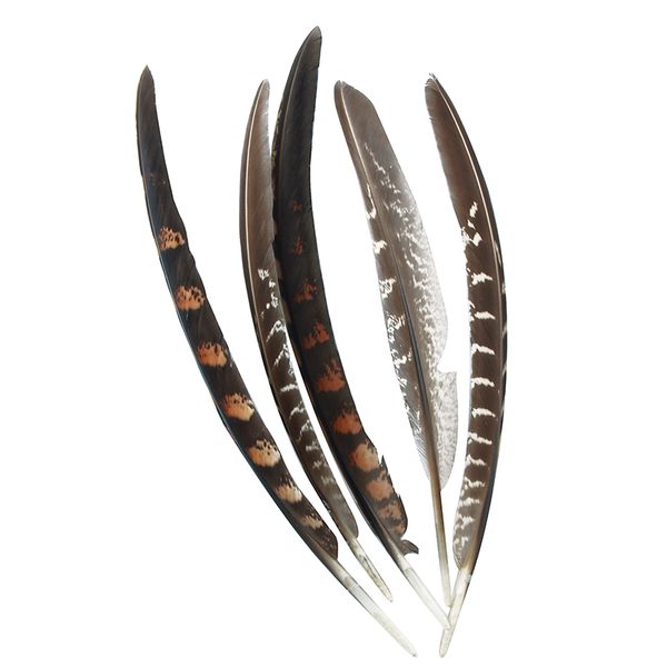 FEATHER PHEASANT QUILL NATURAL 5PC