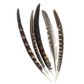 FEATHERS PHEASANT QUILL NATURAL 5PC