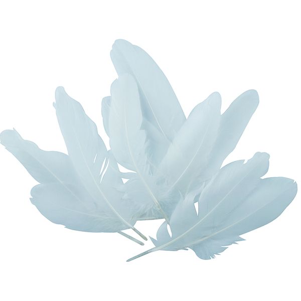 FEATHERS GOOSE SATIN WHITE MIX 6G