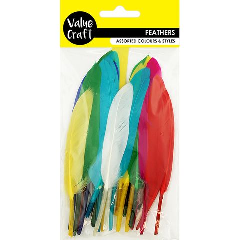 FEATHER CRAFT BRIGHT ASSORTED BRIGHT 6G