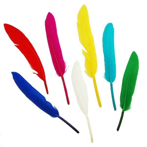 FEATHERS  BRIGHT ASSORTED BRIGHT 6G