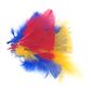 CRAFT FEATHERS RED-YELLOW-BLUE 10G