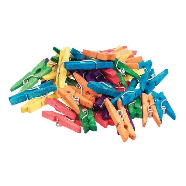 Mini Pegs with Spring 25mm Coloured Pk45