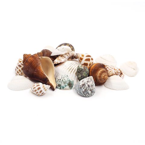 Seashells Assorted Shapes/Sizes 45g