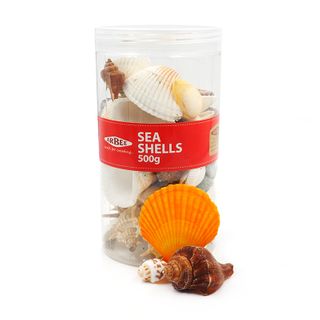 Seashells Assorted Shapes/Sizes 500g