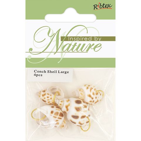 CONCH SHELL WITH RING LARGE 4PCS