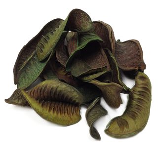 Large Seedless Green Pods 20g