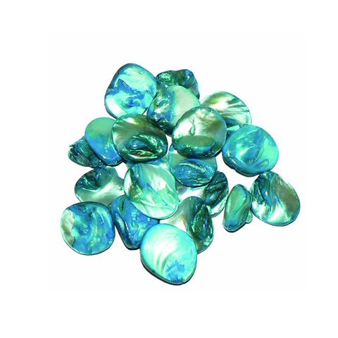 Bead Shell Flat Chunk Turquoise 20Pcs
