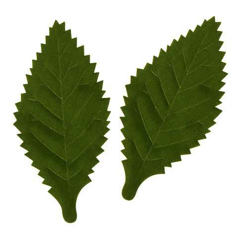 Leaf Cut Out Soft Green 6Pcs