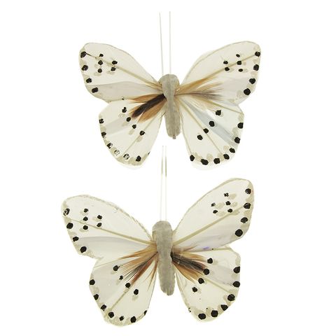 Butterfly 9x6cm Spot White 2Pcs
