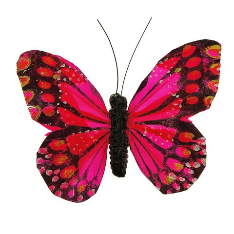 Butterfly 11.5x9cm Hot Pink 1Pc