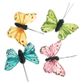 Butterfly Feather 3cm Brights 4Pcs