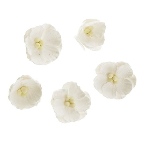 Embossed Daisies White 10Pcs