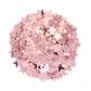 CRAFT SCATTERS STAR 2 SIZES ROSE 20G
