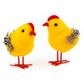 EASTER YELLOW FEATHERED CHICKS 2PCS