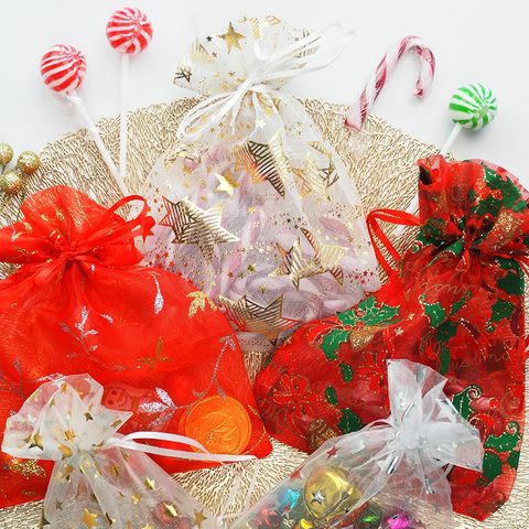 XMAS BAG ORGANZA 15x20CM SWIRL LEAF 2PC