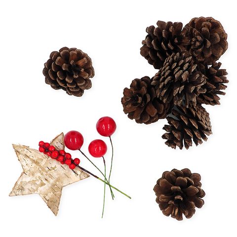 XMAS NATURAL PINECONE MIXED SET 14PCS