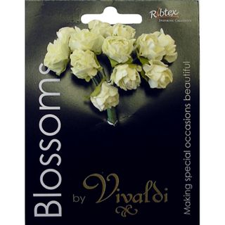 Flower Paper Mini Rose 12H Cream 1Bch