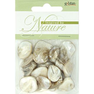 Bead Shell Flat Chunk Natural 20Pcs