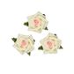 Flower Foam Rose Hd 25Mm Crm Pink 24Pc
