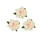 Flower Foam Rose Hd 25Mm Crm Pink 24Pcs