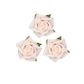 Flower Foam Rose Hd 25Mm Pale Pink 24Pc