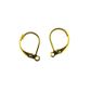 Earring Hooks Lever Back 15mm Gold 6Pcs