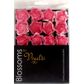 Flower Foam Rose Hd 25Mm Hot Pink 24Pc