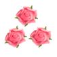 Flower Foam Rose Hd 25Mm Hot Pink 24Pcs