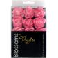 Flower Foam Rose Hd 30Mm Hot Pink 15Pcs